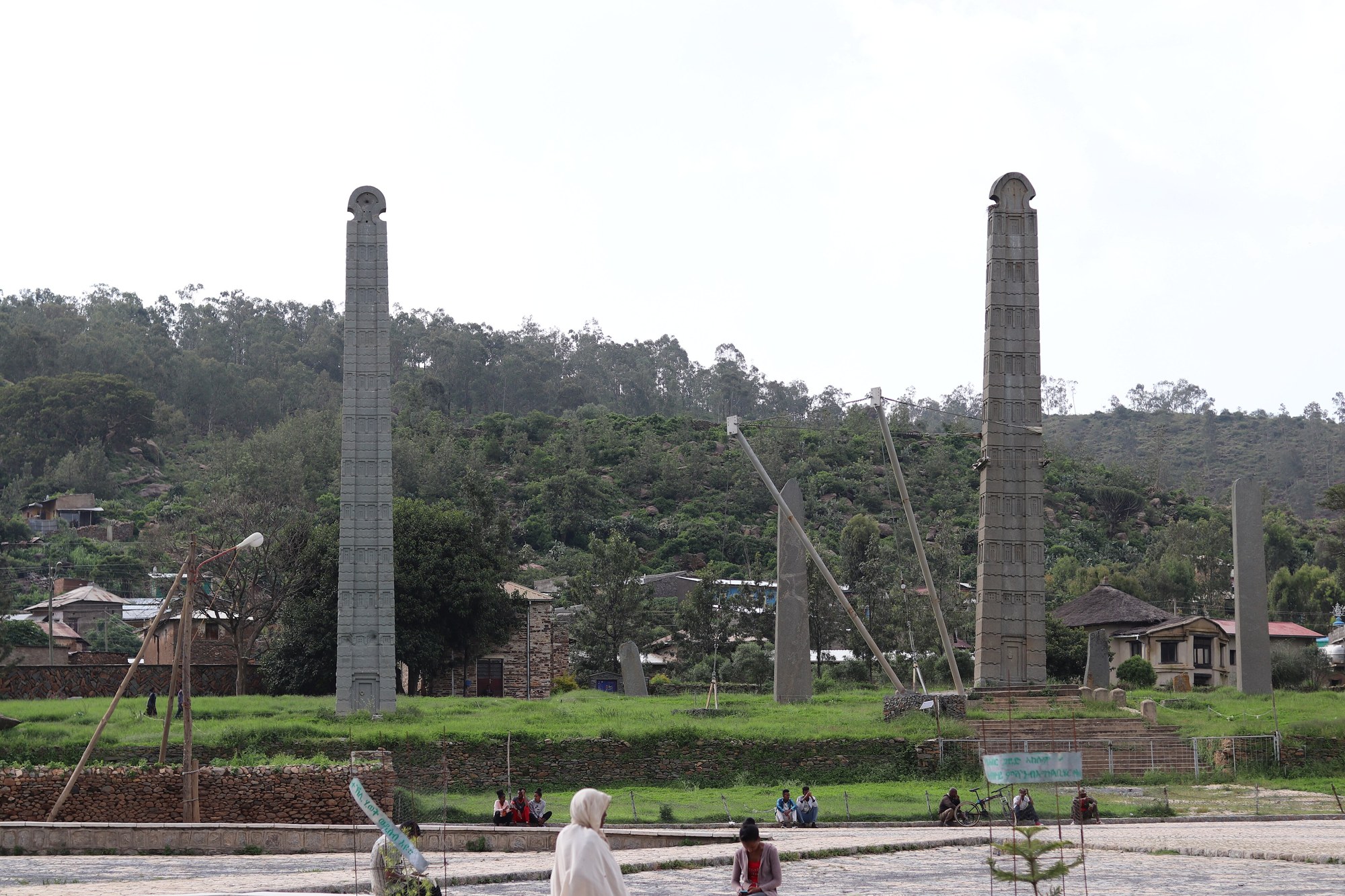 Tall carved Aksumite stele standing among smaller stelae in Aksum, Ethiopia